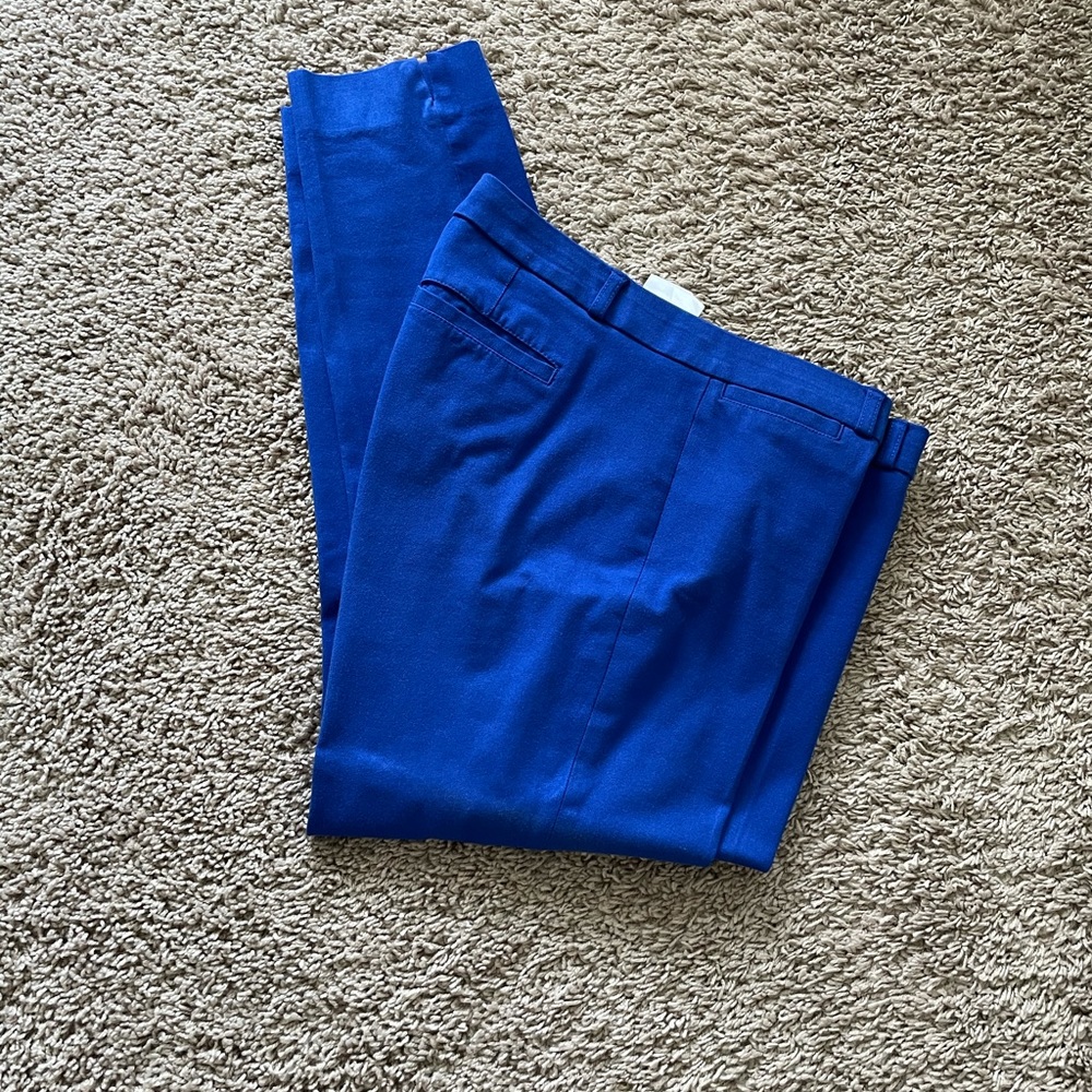 Banana Republic Sloan Pants